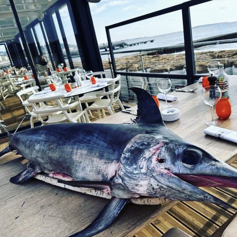 Un espadon issu de la pêche locale, ici au Cabanon, l'autre restaurant du chef Fred Vacherié à Cannes La Bocca