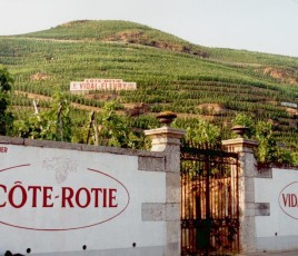 Côte Rotie Vidal Fleury