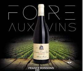 Foire aux vins France Boissons
