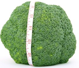 rapport qualité prix brocoli