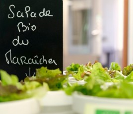salade bio cantine scolaire