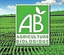 Agriculture bio logo bio