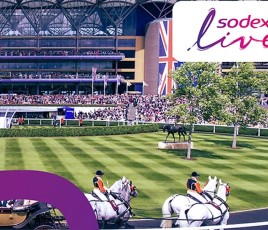 Ascot sodexo live! hippodrome