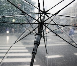 parapluie tempête assurance protection