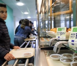 un enfant avec son plateau à la cantine scolaire