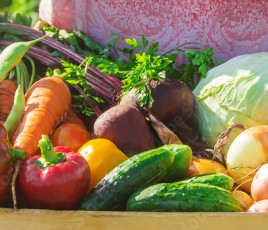 UN HOMME TIENT UNE CAGETTE DE FRUITS ET LEGUMES FRAIS