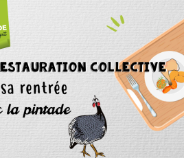 La pintade en collective