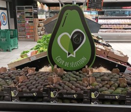 plateaux d'avocats dans le rayon fruits et légumes d'un supermarché
