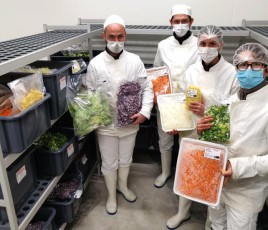 Equipe de préparateurs dans légumerie rsl