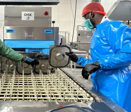 Centre de lavage industriel avec bac inox