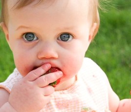 Un bébé qui mange une fraise