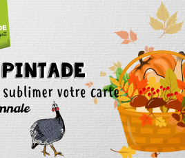 Pintade automne
