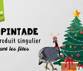 La pintade pendant les fêtes 
