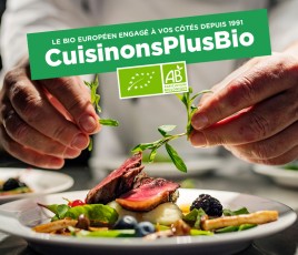 cuisiniers mains produits bio assiette