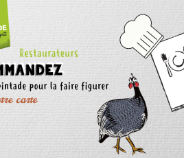 Commande pintade