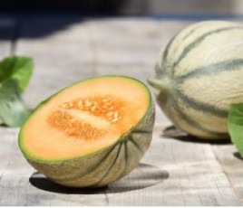 Melon de Cavaillon découpé