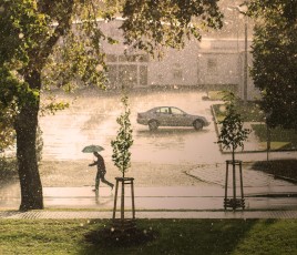 tempête pluie vent