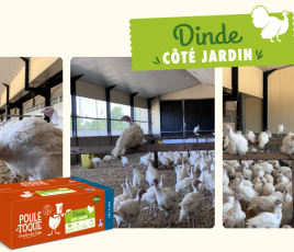 Poule et toque