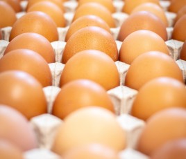 oeufs