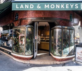 Land & Monkeys