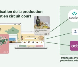 SOLUTION MULLO 1