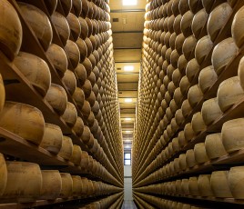 granarolo entrepot parmigiano castelfranco