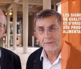 Rapporteurs du cese alimentation