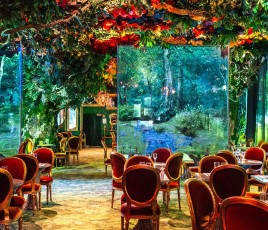 Wonderwoods