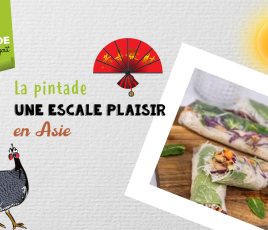 Pintade escale en Asie