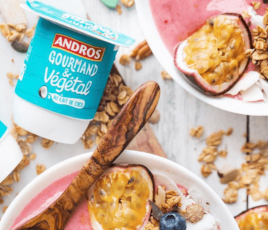 Andros Gourmand & Végétal