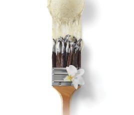 TROPHEE DE LA GLACE 2025 BD.jpg