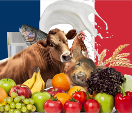 Forum de France de l'alimentation