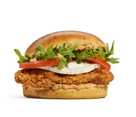 V1 Burger King Master Regionaux
