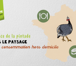 Place pintade en CHD