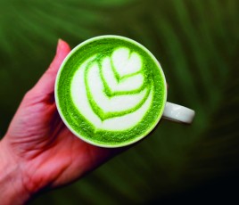 TERRES DE CAFE.jpg