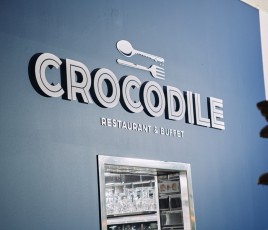 Crocodile