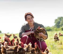 une fermière avec ses poules dans un champs