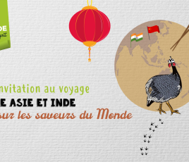 invitation au voyage pintade