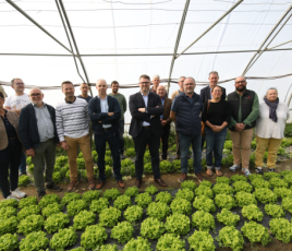 Equipe du pays des herbiers