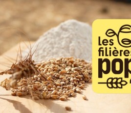 Les Filières POP
