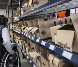 V1 Brioche Dorée VISITE LOBODIS CR Virginie Ribaut