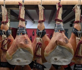 V1 San Daniele CR OD