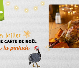 faire briller la carte avec la pintade