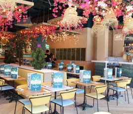 crepe touch montpellier odysseum