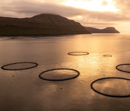 V1 Pokawa RSE DR AQUACULTURE STEWARDSHIP COUNCIL