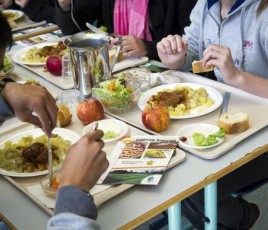 Enfants qui mangent à la cantine scolaire 