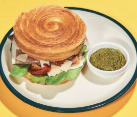 Burger Panzani Solutions