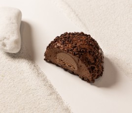 V1 Cacao Barry Emmanuel  Ryon CR DR
