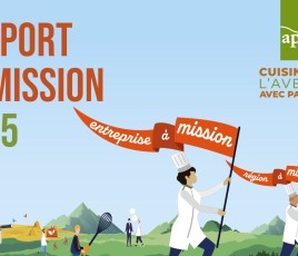 image rapport mission api restauration