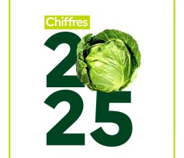 agence bio chiffres 2025
